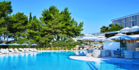 product-sub-image